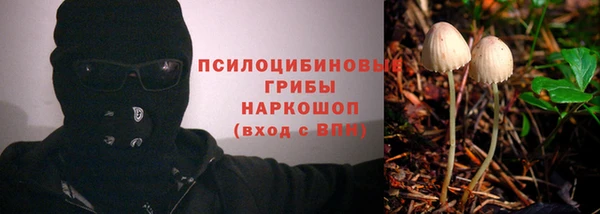 прущие крисы Армянск