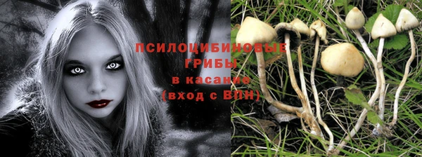 каннабис Арсеньев