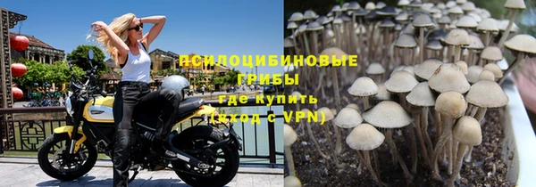 прущие крисы Армянск